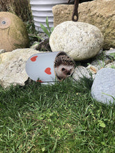 Laden Sie das Bild in den Galerie-Viewer, Garten Paradies