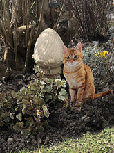 Laden Sie das Bild in den Galerie-Viewer, Roter Kater Steckschild im Garten