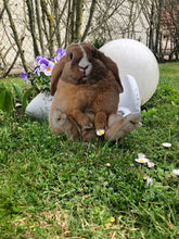Laden Sie das Bild in den Galerie-Viewer, Gartenstecker Hase